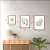 imageArt3d Framed Wall Art Set of 4 for Wooded Aesthetic Wall Decor for Living room Kitchen Hallway Bedroom Green Plant Picture Frame Neutral Botanical Wall PrintsBrown