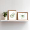 imageArt3d Framed Wall Art Set of 4 for Wooded Aesthetic Wall Decor for Living room Kitchen Hallway Bedroom Green Plant Picture Frame Neutral Botanical Wall PrintsBrown