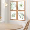 imageArt3d Framed Wall Art Set of 4 for Wooded Aesthetic Wall Decor for Living room Kitchen Hallway Bedroom Green Plant Picture Frame Neutral Botanical Wall PrintsBrown