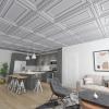 imageArt3d PVC Ceiling Tiles 2x2 Plastic Sheet in Argent Silver 12PackSilver