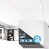 imageArt3d 10Pack Smooth Drop Ceiling Tile 2ft x 4ft  FireRated Waterproof Reusable  Premium PVC No Sag and Breakage  Cover 80 Sq Ft BlackWhite1