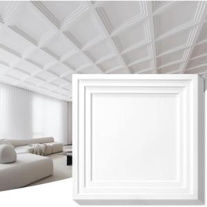imageArt3d 12Pack 2424 Inch PVC Waterproof Drop Ceiling Tiles for Home Dcor  2x2 ft 3D Modern Ceiling Panel for Suspended Grid BlackWhite
