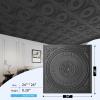 imageArt3d 12Pack Drop Ceiling Tiles 2x2 FT Decorative Easy Install PVC Ceiling Panels for Interior Kitchen Bathroom Basement 24x24 Inch Antique GoldBlack