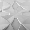 imageArt3d Decorative Ceiling Tile 2x2 Glue up Suspended Ceiling Tile Pack of 12pcs Black FloralWhite