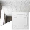 imageArt3d Decorative Ceiling Tile 2x2 Glue up Suspended Ceiling Tile Pack of 12pcs Black FloralModern White