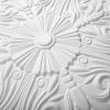 imageArt3d Decorative Ceiling Tile 2x2 Glue up Lay in Ceiling Tile 24x24 Pack of 12pcs Spanish Floral in Matt WhiteWhite