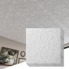 imageArt3d Decorative Ceiling Tile 2x2 Glue up Lay in Ceiling Tile 24x24 Pack of 12pcs Spanish Floral in Matt WhiteWhite