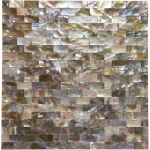 imageArt3d Peel and Stick Mother of Pearl Shell Mosaic Tile for Kitchen Backsplashes 12quot x 12quot Coloful Textures