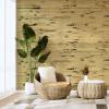 imageArt3d Natural Bamboo Wall Panel for Interior Wall Decor Renewable Pole Wrap Wainscoting Paneling for Wall Ceiling Furniture Cabinet Office 12 x 96 Inch  CarbonizedLight Burned