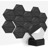 Black-Triangle