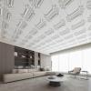 imageArt3d 12Pack Drop Relief Ceiling Tiles for Home Office ampamp Commercial Space 24 x 24in PVC Waterproof 3D Wall Panels Cover 48 Sq Ft WhiteCloudwhite