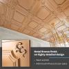 imageArt3d Drop Ceiling Tiles 24x24 in White 12Pack 48 Sqft Wainscoting Panels Glue Up 2x2Bronze