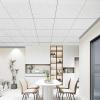 imageArt3d 10Pack Stucco Texture Drop Ceiling Tiles 2x4 FT  FireRated Waterproof Reusable  Premium PVC 24x48 Inch Ceiling Panels for Living Room Kitchen Bathroom Basement Office WhiteStucco White1