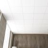 imageArt3d 10Pack Stucco Texture Drop Ceiling Tiles 2x4 FT  FireRated Waterproof Reusable  Premium PVC 24x48 Inch Ceiling Panels for Living Room Kitchen Bathroom Basement Office WhiteWhite