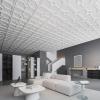imageArt3d 12Pack Lightweight Drop Ceiling Tiles for Suspended Grid 2x2 ft Ceiling Panels in Black Cover 48 SqFtWhite