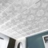 imageArt3d Drop Ceiling Tiles 24x24 in Bronze 12Pack 48 Sqft 3D Wainscoting Panels Glue Up 2x2White