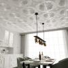 imageArt3d Drop Ceiling Tiles 24x24 in Bronze 12Pack 48 Sqft 3D Wainscoting Panels Glue Up 2x2White
