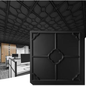 imageArt3d 12Pack Lightweight Drop Ceiling Tiles for Suspended Grid 2x2 ft Ceiling Panels in Black Cover 48 SqFtBlack