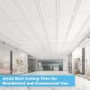 imageArt3d Drop Ceiling Tiles 48x24 Decorative PVC Ceiling Panels Waterproof Rustproof and Durable 12Pack Glue Down Rectangular BlackRectangular White
