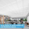 imageArt3d Drop Ceiling Tiles 48x24 Decorative PVC Ceiling Panels Waterproof Rustproof and Durable 12Pack Glue Down Rectangular BlackRectangular White