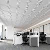 imageArt3d 2x2 Ft Drop Down PVC Ceiling Tiles 3D Textured Glue up Ceiling Panel for Office Living Room Home Decor  12Pack Covers 48 SqFt WhiteWhite