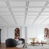 imageArt3d Drop Ceiling Tiles 24x48 Decorative PVC Ceiling Panels Waterproof Rustproof and Durable 12Pack Glue Down Rectangular WhiteRectangular White
