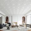imageArt3d Drop Ceiling Tiles 24x48 Decorative PVC Ceiling Panels Waterproof Rustproof and Durable 12Pack Glue Down Rectangular WhiteSquare White