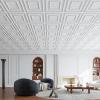 imageArt3d Drop Ceiling Tiles 24x48 Decorative PVC Ceiling Panels Waterproof Rustproof and Durable 12Pack Glue Down Rectangular WhiteSquare White