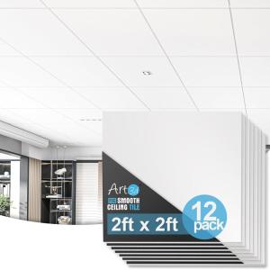 imageArt3d 12Pack Smooth Drop Ceiling Tile 2ft x 2ft  FireRated Waterproof Reusable  Premium PVC No Sag and Breakage  Cover 48 Sq Ft BlackWhite1