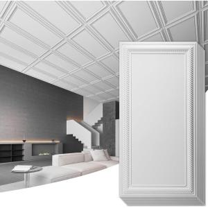 imageArt3d Drop Ceiling Tiles 24x48 Decorative PVC Ceiling Panels Waterproof Rustproof and Durable 12Pack Glue Down Rectangular WhiteRectangular White