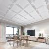 imageArt3d 24Pack 24x24 Inch PVC Waterproof Drop Ceiling Tiles for Home Dcor  2x2 ft 3D Modern Ceiling Panel for Suspended Grid WhiteWhite