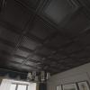 imageArt3d PVC Ceiling Tiles 2x2 Plastic Sheet in Black 24PackBlack
