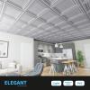 imageArt3d PVC Ceiling Tiles 2x2 Plastic Sheet in White 24PackBrushed Silver