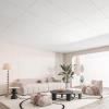 image:imageArt3d 10 Pack Smooth Drop Ceiling Tiles 24x48 Cover 80 Sqft PVC Decorative Ceiling Tiles 2x4 ft FireRated Tiles for Interior Decor Home Office Restaurant and Gym Matte Regular WhiteRetangular White