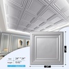 image:imageArt3d PVC Ceiling Tiles 2x2 Plastic Sheet in Pure White 48Pack MultiPackBrushed Silver