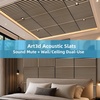 image:imageArt3d Acoustic Slat Wood Panels  6Pack 2x2ft Soundproof Drop Ceiling Living Room amp Bedroom DIY Decoration AshtreeNatural Oak